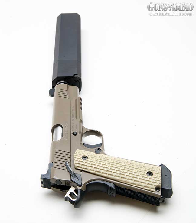 Kimber Desert Warrior 1911 45 ACP (TFS)